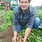 Home grown Lady Christl new potatoes now available