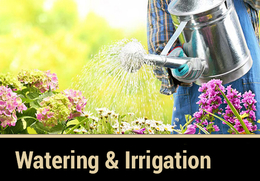 Garden Care Watering & Irrigation