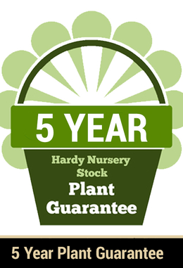 5 Year Guarantee on Hardy Plants