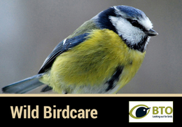 Wild Bird Care