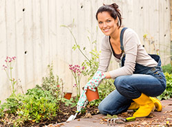 Plant Nursery Hampshire